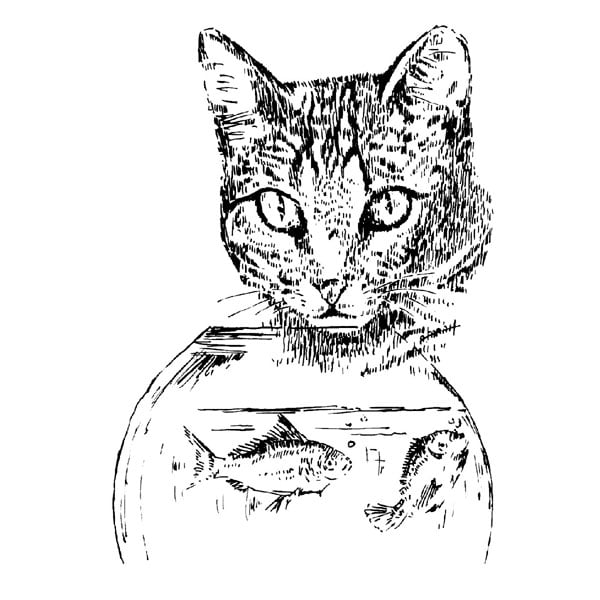 Desenho - Tentação - Quadro decorativo - Gato